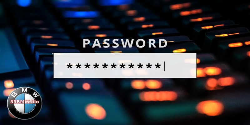 Change your 55BMW log in password